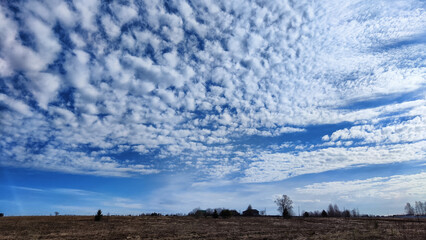 Wall Mural - Beautiful blue sky with white clouds on a sunny autumn or spring day over a field with dry grass. Natural Background and copy space. Landscape in early spring or autumn