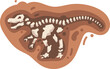 Animal skeleton anatomy. Anatomy of the Animal body. Vector illustration