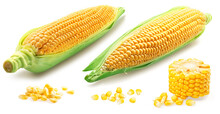 Maize Cobs And Corn Cob Pieces On White Background.