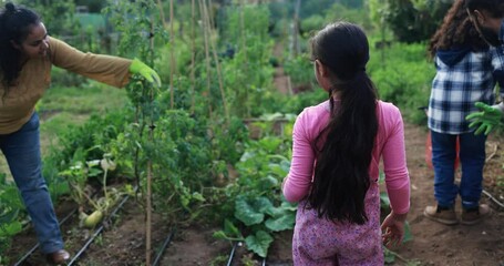 Poster - Indian family sowing new plants together from house garden outdoor - Vegetarian, healthy food and education concept - Parents and children having fun gardening together