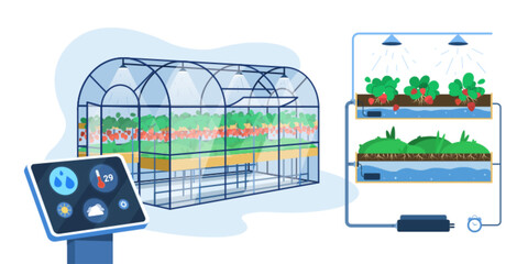 Flat greenhouse with smart innovation technology for growing or automation watering plants. Agricultural cultivation, hydroponic gardening system with control digital device. Farm industry concept.