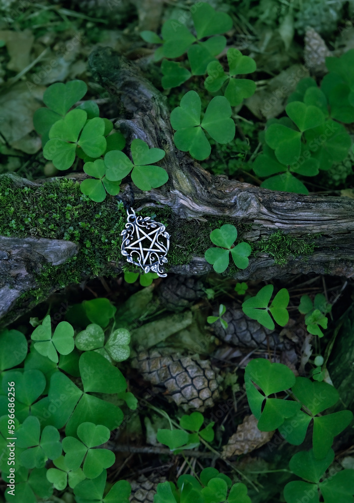 amulet with pentagram on moss, abstract natural dark forest background ...