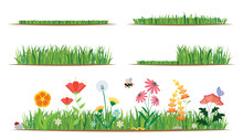 Flower And Grass Flat Icon Set And Illustration. Various Colorful Garden And Field Flowers And Mowed And Unmowed Grass.