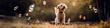 © Anastasiia - Dog Jumping To Catch Bubbles In The Air, Panorama, Banner. Generative AI