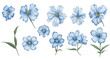 Beautiful blue forget-me-not flower (Myosotis) depicted with watercolors. The delicate petals of the flower are painted. Generative AI,. AI.