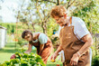© Iryna - Grandmother and granddaughter work in the garden together. Pensioner and teen girl in casual wear take care of plants outdoor at bright summer sunny day. Love, relation, friendship, generation concept