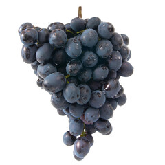 Wall Mural - Red grapes bunch in PNG isolated on transparent background