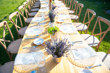 Poster - Beautiful outdoor celebration table green background with lavender decoration