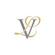 VL or LV Letters Logo Icon 010
