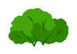 Illustration of bush. Forest or park landscape element. Seasonal image.