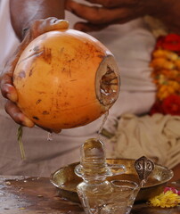 Wall Mural - Performing Pooja for Hindu god siva linga with milk, honey and coconut water