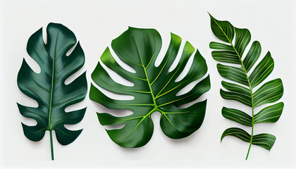 Topical Green Leafs set in solid white background Ai generated image