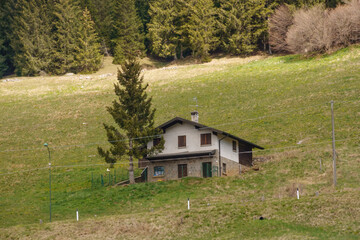 Canvas Print - paesaggio montano