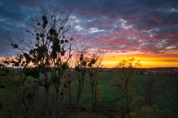 Amazing sunset over the spring fields of Rotmanka, Poland