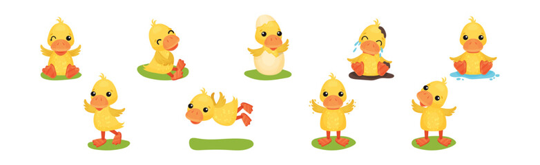 Wall Mural - Funny Yellow Duckling Engaged in Different Activity Vector Set