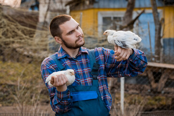 A farmer of European appearance, a man with a beard, in overalls, holds on his arm and shoulder and looks at white dwarf chickens household against the background of the countryside