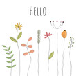 © Artlanes - Hello - Schriftzug in englischer Sprache - Hallo. Grußkarte mit liebevoll gezeichneten Blumen.