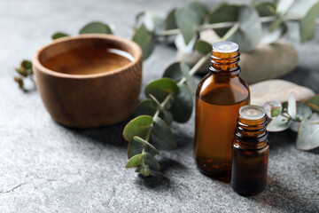 Poster - Bottles of eucalyptus essential oil, wooden bowl and plant branches on light grey table, space for text