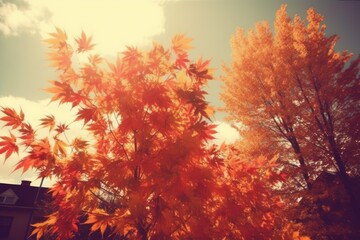 Canvas Print - charming autumn scene with an orange-leaved tree in front of a cozy house. Generative AI