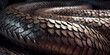Snake skin background