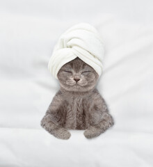 Fototapete - Cute kitten with towel on it head relaxing on the bed at home. Top down view