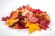© Cheng - Pile of natural autumn maple leaves of yellow, orange, red, burgundy colors isolated on white background.Generative AI.
