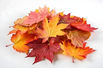 Wall Mural - Pile of natural autumn maple leaves of yellow, orange, red, burgundy colors isolated on white background.
Generative AI. 