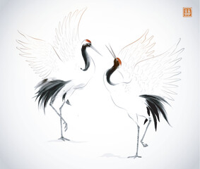  Two dancing crane birds on white background.Traditional oriental ink painting sumi-e, u-sin, go-hua. Hieroglyph - double luck.
