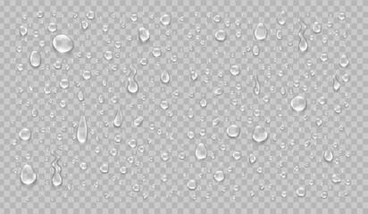 Water drops realistic isolated set on transparent background. Vector illustration
