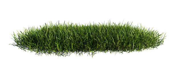 green grass meadow isolated on transparent background