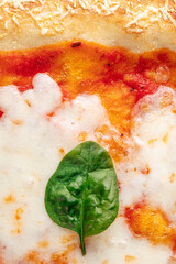 Wall Mural - Closeup on gourmet italian margherita pizza with basil