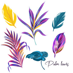 Poster - Beautiful tropical vector purple pink collection of palm leaves