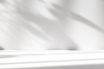 Leinwandbilder - Abstract white studio background with shadows of window. Empty 3d room. Display product with blurred backdrop.