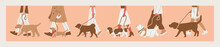 A Man Walks A Dog On A Leash. Various Breeds Of Dogs For A Walk. Dog Show Or Dog Walking In The City Or In The Park. Big Set Of Vector Multicolor Illustrations.