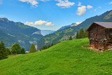 Fototapeta  - Mountain view with wooden barn on the eadow near Wengen village in Switzerland.