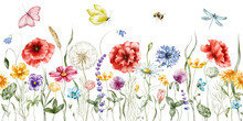 Watercolor Floral Seamless Border – Wildflowers: Summer Flower, Blossom, Poppies, Chamomile, Dandelions, Cornflowers, Lavender, Violet, Bluebell, Clover, Buttercup, Butterfly.