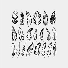 Wall Mural - set of feathers isolated on white vector