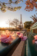 Poster - Eiffel Tower during beautiful spring time in Paris, France