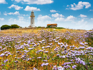 Wall Mural - Island of Cyprus. Summer Paphos. White lighthouse. Coast of Mediterranean sea. Panorama with white lighthouse. Landscape city of Paphos. Cyprus in sunny weather. Blooming meadow on island of Cyprus