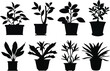 Potted plant silhouettes. Plants in pots. Vector illustration
