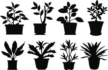 Set Of Potted Plant Silhouettes. Potted Plant Icons Set. Potted Plant Vector Illustrations Set