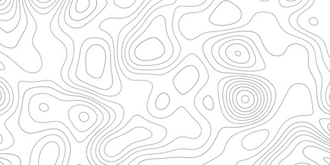 Wall Mural - Abstract design with black and white abstract background . Topography map concept. 3d rendering . Creative and similar design with white and black tone paper cut wave curve with blank