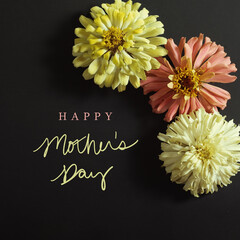 Poster - Zinnia flowers on black background with mothers day greeting.