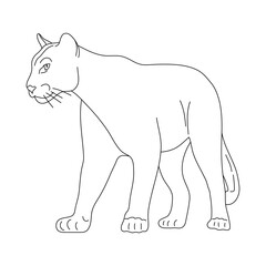 Wall Mural - Puma in line art drawing style. Vector illustration.