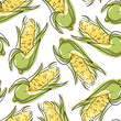Corn line art seamless pattern. Seamless linear pattern of sweet corn cobs with pastel colors on a white background. Print, textile, vector.