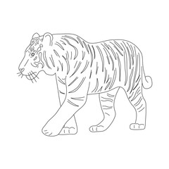 Wall Mural - Sketch of Tiger. Hand drawn vector illustration.