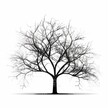© Enea - Dogwood tree silhouette white background