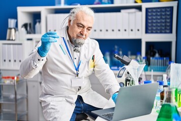 Wall Mural - Middle age grey-haired man scientist using laptop holding test tube at laboratory