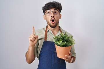 Poster - Arab man with beard holding green plant pot amazed and surprised looking up and pointing with fingers and raised arms.