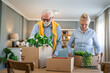 © Miljan Živković - Senior couple man and woman husband wife pack or unpack boxes moving